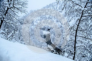 Winter trees in mountains covered with fresh snow. Beautiful landscape with branches of trees covered in snow. Mountain road in