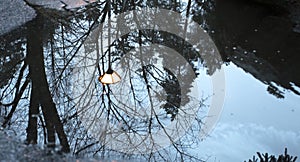 Winter Trees Reflecting, background
