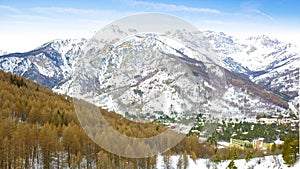 Winter trees and snow-capped mountains in Bardonecchia of Italy