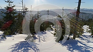 Winter Trees Snowy Hill Aerial 4k