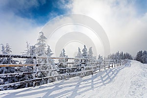 Winter trees and wooden fence covered in snow that borders a mountain road