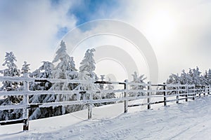 Winter trees and wooden fence covered in snow that borders a mountain road