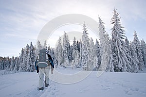 Winter trekking