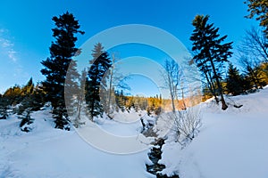 Winter trekking Beskidy mountains Rysianka