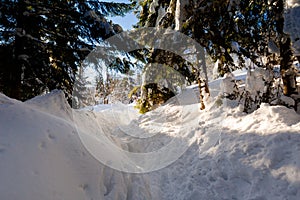 Winter trekking Beskidy mountains Rysianka