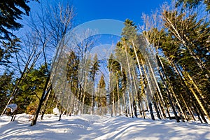 Winter trekking Beskidy mountains Rysianka