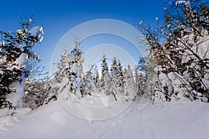 Winter trekking Beskidy mountains Rysianka