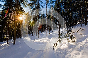 Winter trekking Beskidy mountains Rysianka