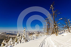 Winter trekking Beskidy mountains Rysianka