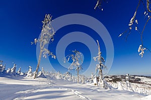 Winter trekking Beskidy mountains Rysianka