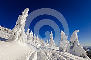 Winter trekking Beskidy mountains Rysianka