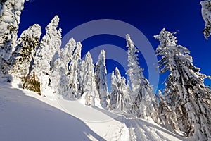 Winter trekking Beskidy mountains Rysianka