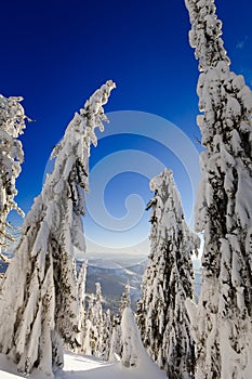 Winter trekking Beskidy mountains Rysianka