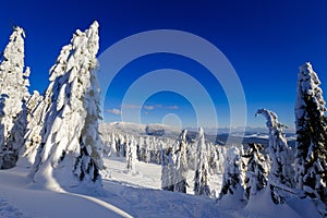 Winter trekking Beskidy mountains Rysianka