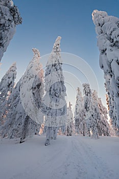 Winter trekking Beskidy mountains Rysianka