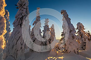 Winter trekking Beskidy mountains Rysianka