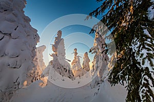 Winter trekking Beskidy mountains Rysianka