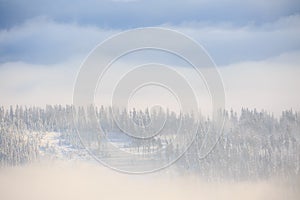 Winter trekking Beskidy mountains Rysianka