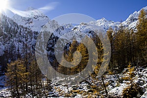 Winter trekking in Gesso valley