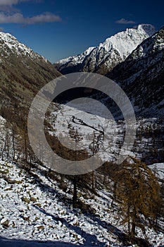 Winter trekking in Gesso valley