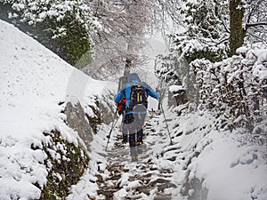 Winter trekking in the italian alps