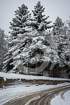 Winter at Trikala Korinthias, Peloponnese, Greece