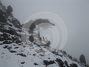 winter trip in foggy mountains, adventure and amazing views