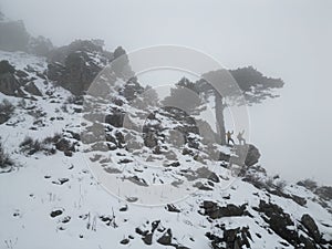 winter trip in foggy mountains, adventure and amazing views