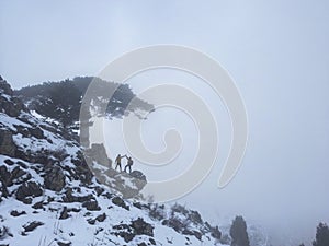 winter trip in foggy mountains, adventure and amazing views
