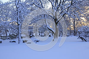 Winter in Trondheim, view of the Nidarosdomen cemetery