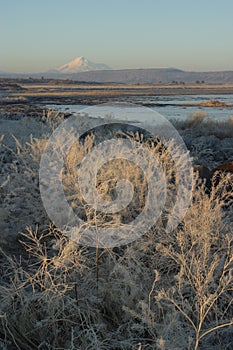 Winter Tule Lake Sunrise photo