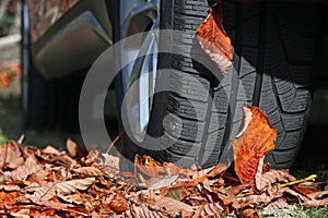 Winter tyres for wet slippery foliage photo