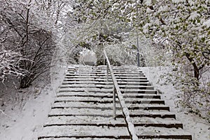 Winter urban landscape. Trees, paths and stairs under snow