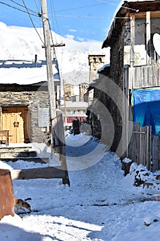 Winter in Ushguli in the Caucasus Mountains in Samegrelo-Zemo Svaneti region  georgia photo