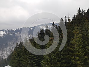 Winter vacantion day