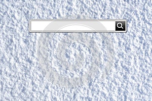 Winter vacation search bar