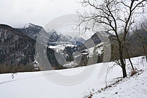 Winter in Val Pontebbana, North East Italy