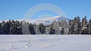 Winter in Are Valadalen mountains in Jamtland in Sweden