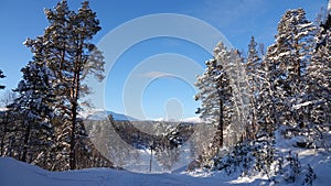 Winter in Are Valadalen mountains nature reserve in Jamtland in Sweden