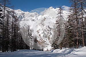 Winter in the valley of Rhemes