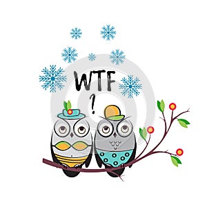 Winter vector couple owls in the swimsuits on a tree branch. An insulated design white background for print t-shirts