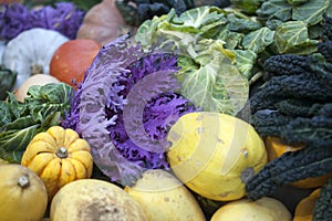 Winter vegetables late autumn in a vegetable garden UK