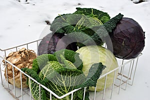 Winter vegetables on snow