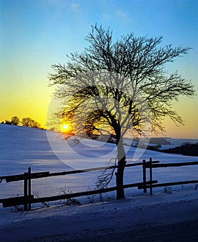 Winter vesper photo