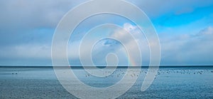 Winter view of Baltic sea with gulls on water surface with rainbow offshore Gdynia Orlowo district of Tricity in Poland