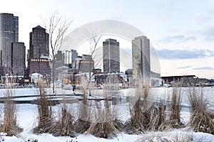 Winter view of Boston from the bay and promenade.