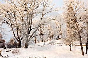 Winter view of city park photo