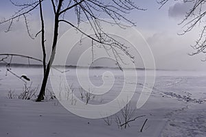 Winter view of the field and the trees in Petrie Island Area near Ottawa River