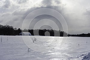 Winter view of the field and the trees in Petrie Island Area near Ottawa River