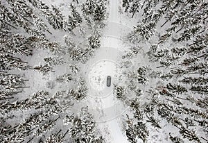 Winter view for forest and the car